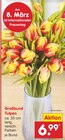 Aktuelles Großbund Tulpen Angebot bei Netto Marken-Discount in Saarbrücken ab 6,99 €