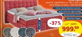 Boxspringbett bei ROLLER im Brandenburg Prospekt für 999,99 €