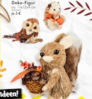Deko-Figur Eule im Angebot bei TEDi in Hoyerswerda Deko-Figur Eule Angebote bei TEDi Hoyerswerda für 5,00 €