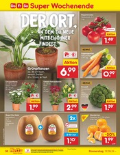 Aktueller Netto Marken-Discount Prospekt mit Grünpflanzen, "Aktuelle Angebote", Seite 46