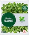 Feldsalat bei Kaufland im Biberach Prospekt für 0,89 €