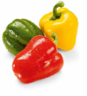 Paprika-Mix im Angebot bei Netto Marken-Discount in Trier Paprika-Mix Angebote bei Netto Marken-Discount Trier für 1,45 €