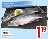 Aktuelles Frische Forelle Angebot bei EDEKA in Augsburg ab 1,19 €