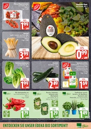 EDEKA Avocado im Prospekt EDEKA Avocado im Prospekt
