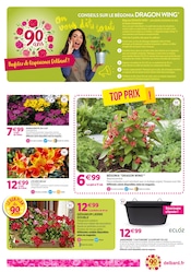 Promos Jardinière dans le catalogue "90 ans à faire pousser les envies !" de Delbard à la page 2