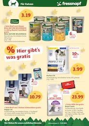 Erste-Hilfe-Set Angebot im aktuellen Fressnapf Prospekt auf Seite 17