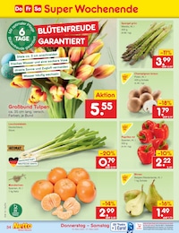 Netto Marken-Discount Pilze im Prospekt 
