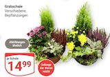 Grabschale im Angebot bei GLOBUS in Oberhausen Grabschale Angebote bei GLOBUS Oberhausen für 14,99 €
