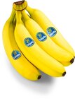 Bananen von Chiquita im aktuellen Netto Marken-Discount Prospekt für 1,75 €