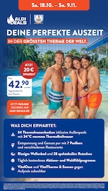 Aktueller ALDI SÜD Prospekt mit Erdinger, "Gutes für Alle.", Seite 45