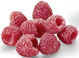 Himbeeren im aktuellen METRO Prospekt