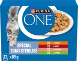 EFFILÉS EN SAUCE CHAT ADULTE STÉRILISÉ POULET BOEUF SAUMON DINDE PURINA ONE - PURINA en promo chez Auchan Hypermarché Boulogne-Billancourt à 3,99 €