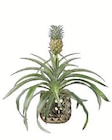 Zier-Ananas in Keramik bei Lidl im Prospekt "" für 9,99 €
