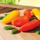 PEPRIKA Angebote bei Dehner Garten-Center Buxtehude für 3,79 €