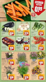 Blumen im REWE Prospekt in Bielefeld Aktueller REWE Prospekt mit Blumen, "Dein Markt", Seite 7