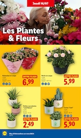 Prospectus Lidl "L'ÉTÉ IMBATTABLE" en cours à Versailles, Page 26 Catalogue Lidl en cours à Versailles, "L'ÉTÉ IMBATTABLE", Page 26