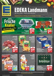 EDEKA Supermarkt Prospekt der aktuellen Woche mit 28 Seiten, gültig von 17.11.2025 bis 22.11.2025, in Aue und Umgebung Aktueller EDEKA Supermarkt Prospekt in Aue und Umgebung, "Wir lieben Lebensmittel!" mit 28 Seiten, 17.11.2025 - 22.11.2025