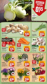 Aktueller REWE Prospekt mit Hortensie, "Dein Markt", Seite 5
