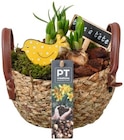 Blütenoffensive dekorativer Korb von PT Creation im aktuellen REWE Prospekt für 6,99 €