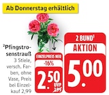 Pfingstrosenstrauß im aktuellen Prospekt bei EDEKA in Treis-Karden