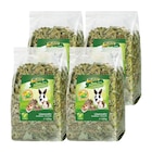 MultiFit Hernes Grain Free ensemble de 4 Pissenlit 4x100 g - MultiFit - Maxi Zoo MultiFit Hernes Grain Free ensemble de 4 Pissenlit 4x100 g - MultiFit à 15,96 € dans le catalogue Maxi Zoo