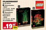 Aktuelle Lego Angebote bei E center in Darmstadt Aktuelles Glücksbambus Angebot bei E center in Darmstadt ab 19,99 €