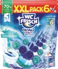 Duftspüler XXL von WC Frisch im aktuellen Lidl Prospekt