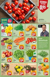 Garten Angebot im aktuellen REWE Prospekt auf Seite 9