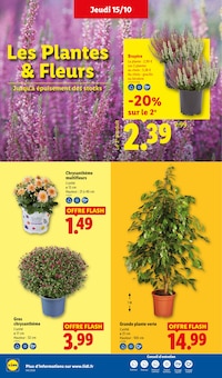 Catalogue Lidl, 15/10/2026 - 21/10/2026, LE MOIS TOUJOURS PLUS, 64 pages Prospectus Lidl en cours, "LE MOIS TOUJOURS PLUS", 64 pages