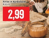 Kerze in Kürbisform im Angebot bei Kaufhaus Stolz in Stralsund Kerze in Kürbisform Angebote bei Kaufhaus Stolz Stralsund für 2,99 €
