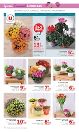Promos Plante Verte dans le catalogue "Halloween À PRIX BAS" de Super U Plante Verte en promo dans le catalogue Super U à la page 32