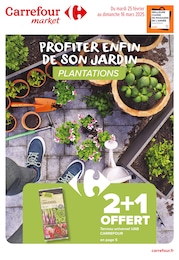 Catalogue Carrefour Market "PROFITER ENFIN DE SON JARDIN : PLANTATIONS" à Marzy et alentours, 22 pages, 25/02/2025 - 16/03/2025