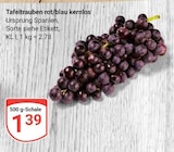 Aktuelles Tafeltrauben rot/blau kernlos Angebot bei GLOBUS in Bochum ab 1,39 €
