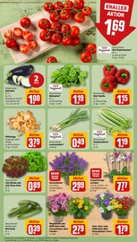 Aktueller REWE Prospekt mit Blumen, "Dein Markt", Seite 7