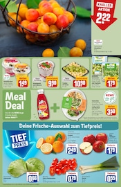 Gemüse im REWE Prospekt in Bonn Aktueller REWE Prospekt mit Gemüse, "Dein Markt", Seite 8
