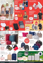 Aktueller GLOBUS Prospekt mit Rucksack, "Aktuelle Angebote", Seite 25