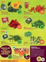 tegut Salat im Prospekt 