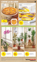 Offre Plantes dans le catalogue Intermarché du moment à la page 13