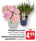 Herzstücke Lavendel angustifolia im Angebot bei E center in Darmstadt Herzstücke Lavendel angustifolia Angebote von EDEKA bei E center Darmstadt für 4,99 €