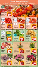 Gartenerde im REWE Prospekt in Ingolstadt Aktueller REWE Prospekt mit Gartenerde, "Dein Markt", Seite 7