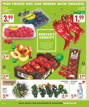 Fernseher im Marktkauf Prospekt in Hemer Aktueller Marktkauf Prospekt mit Fernseher, "Aktuelle Angebote", Seite 2