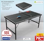 Aktuelles Mini Tischtennisplatte Flexi Angebot bei Netto Marken-Discount in Hamburg ab 79,99 €