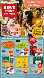 REWE Prospekt "Dein Markt" für Schleuse Dausenau, 26 Seiten, 06.05.2024 - 11.05.2024