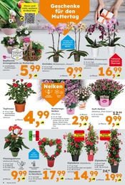 Blumen im Globus-Baumarkt Prospekt in Leonberg Aktueller Globus-Baumarkt Prospekt mit Blumen, "Immer eine Idee besser", Seite 4