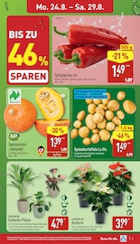 Aktueller ALDI Nord Prospekt mit Bio, "Aktuelle Angebote", Seite 3