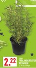 Aktuelle Rosmarin Angebote bei Marktkauf in Gelsenkirchen Aktuelles Freilandkräuter Rosmarin Angebot bei Marktkauf in Gelsenkirchen ab 2,22 €