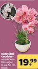 Künstliche Orchidee für 19,99 € bei Netto mit dem Scottie im Angebot Künstliche Orchidee im aktuellen Netto mit dem Scottie Prospekt