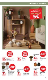 Offre Jardin dans le catalogue Super U du moment à la page 5