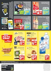 Lavazza im EDEKA Prospekt in Norderstedt Aktueller EDEKA Prospekt mit Lavazza, "Top Angebote", Seite 4