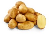 Bio-Kartoffeln Angebot in Reichertshausen Bio-Kartoffeln im aktuellen Prospekt bei Penny-Markt in Reichertshausen